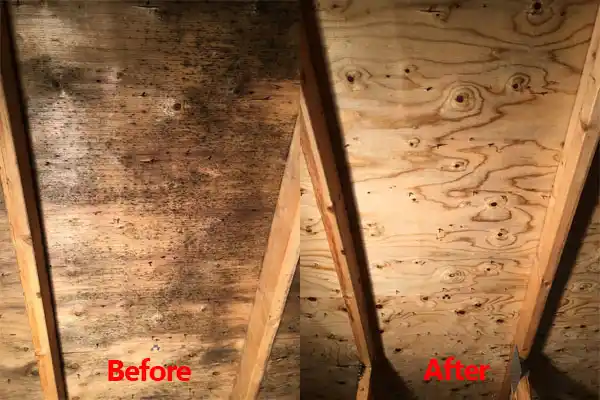 water damage restoration service Monterey Park